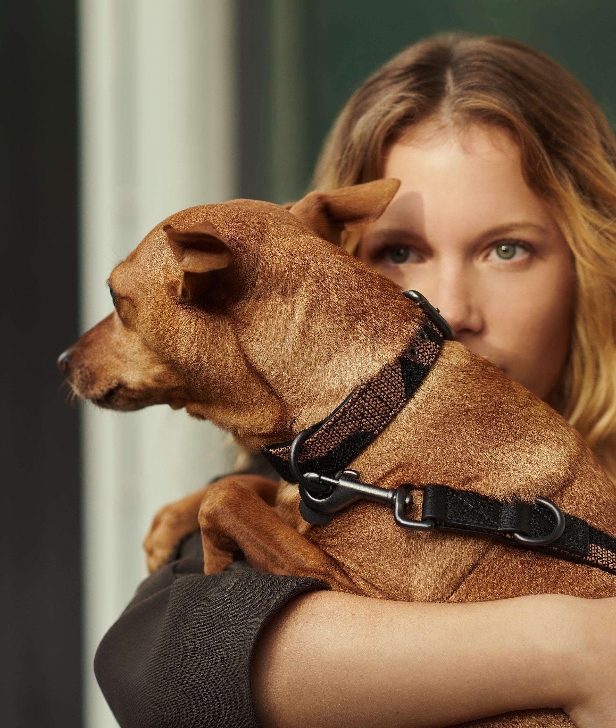 LIEBESKIND BERLIN Hundehalsband