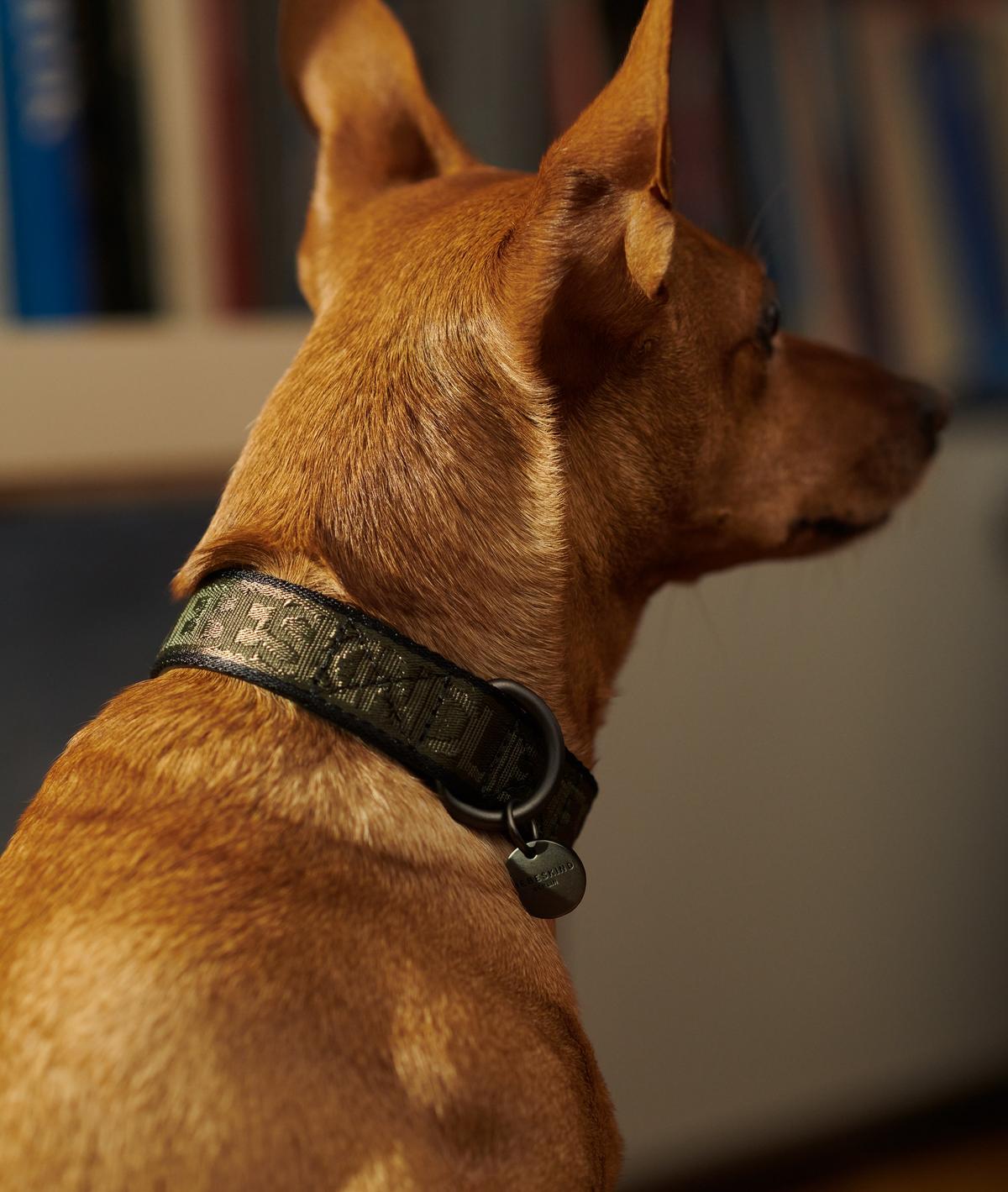 LIEBESKIND BERLIN Hundehalsband