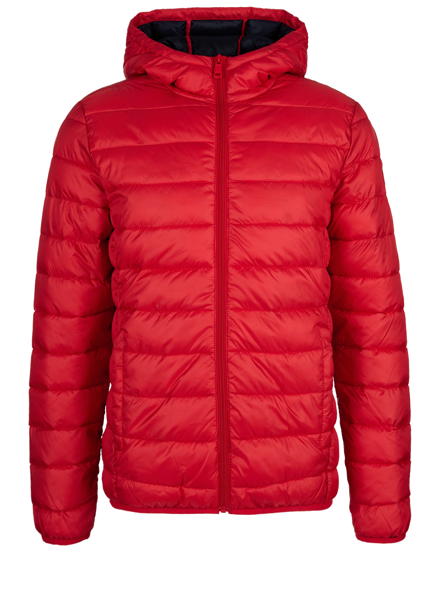 Veste matelassée in 3132