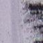 grau