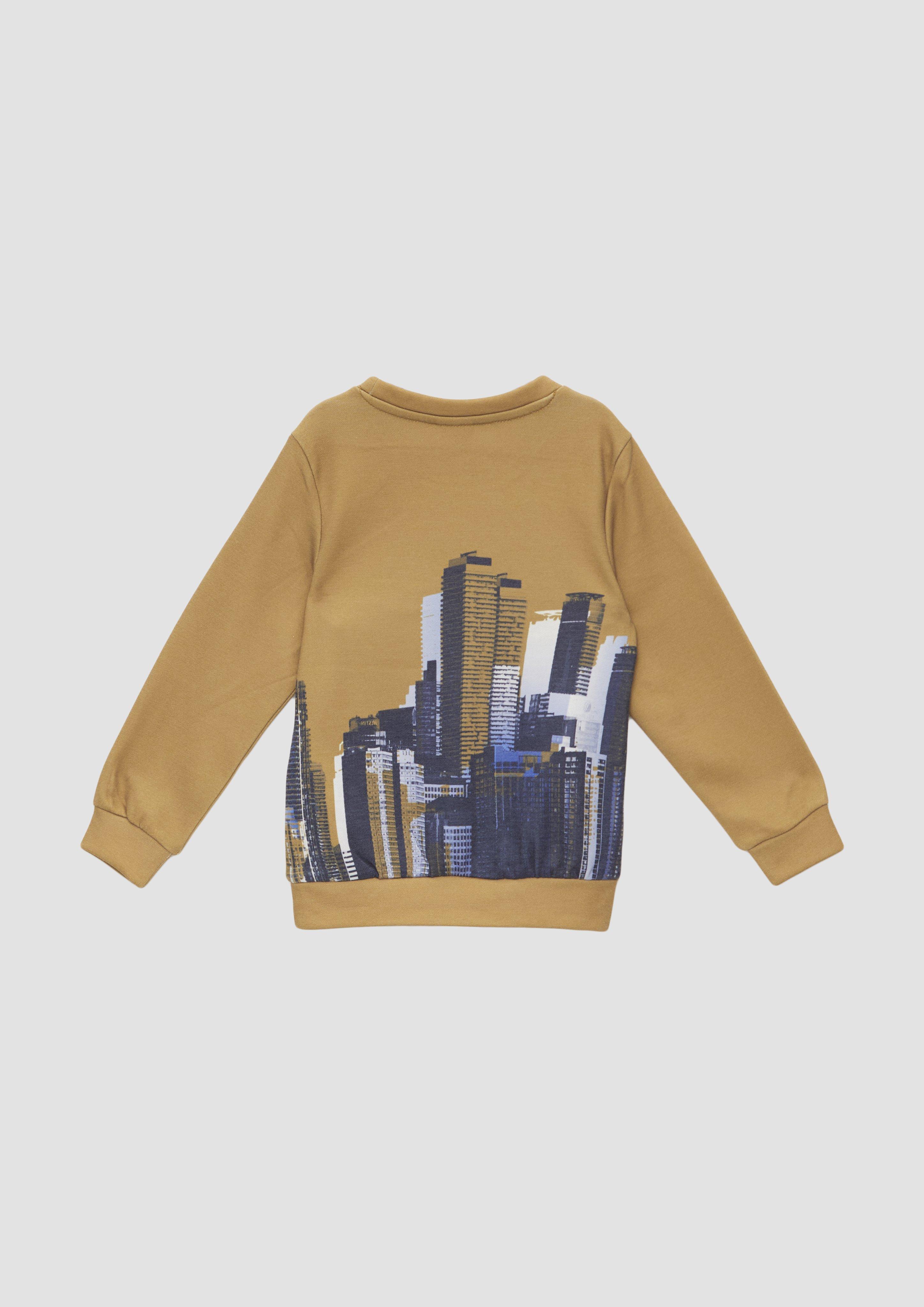 Sweatshirt in 18D1 & 52D1