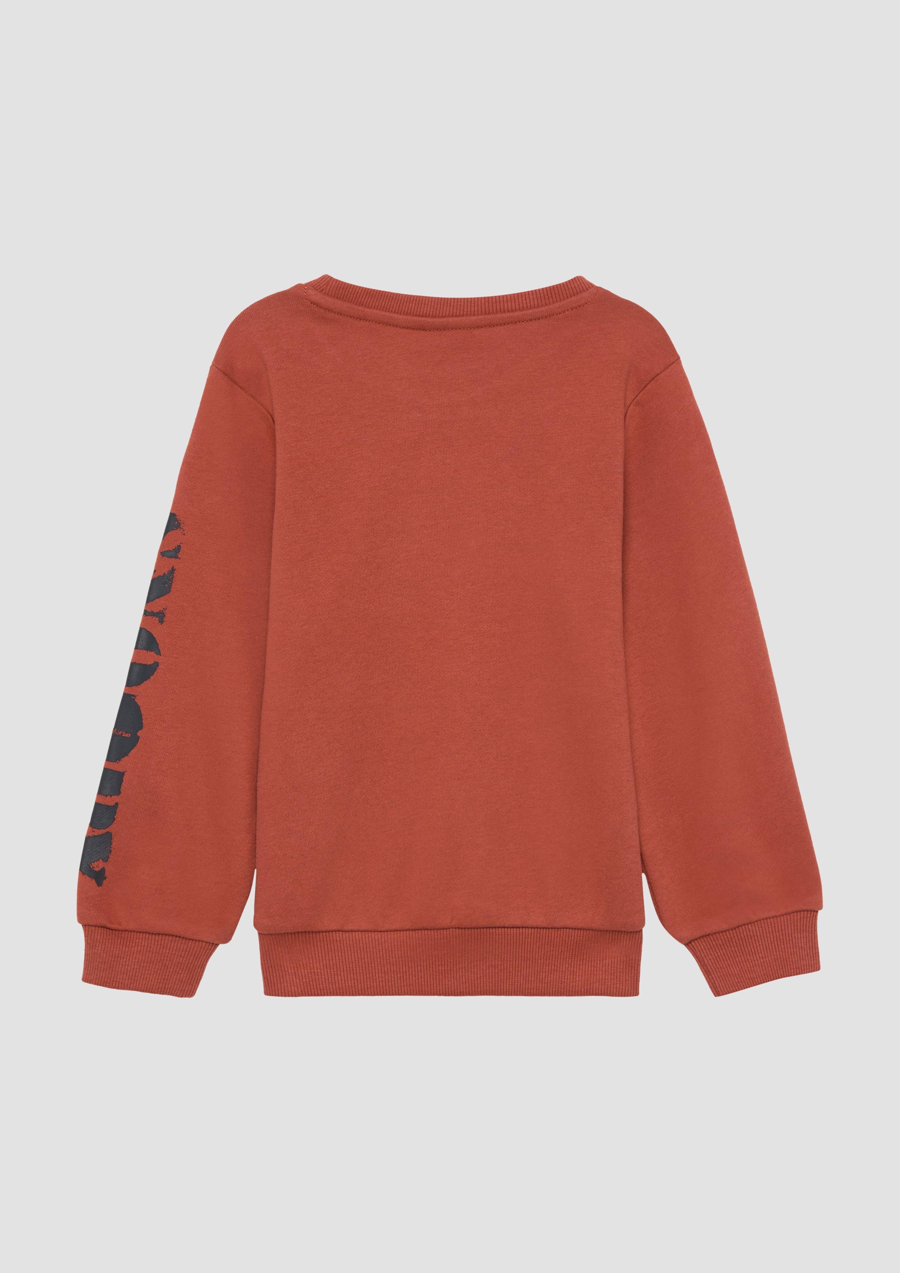 Sweatshirt in 3840 & 7372