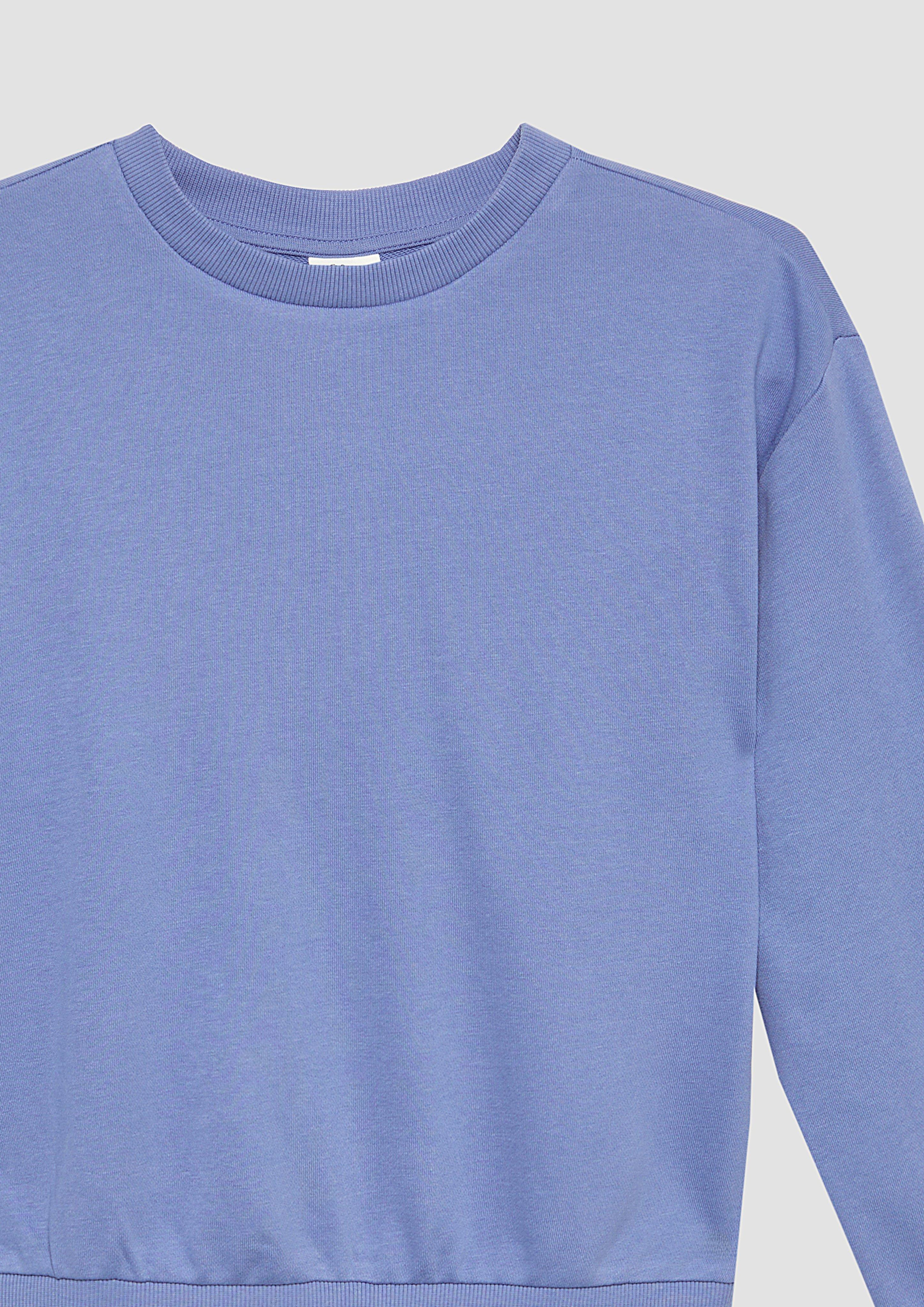 Sweatshirt in 5364 & 0100