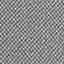 gris ardoise
