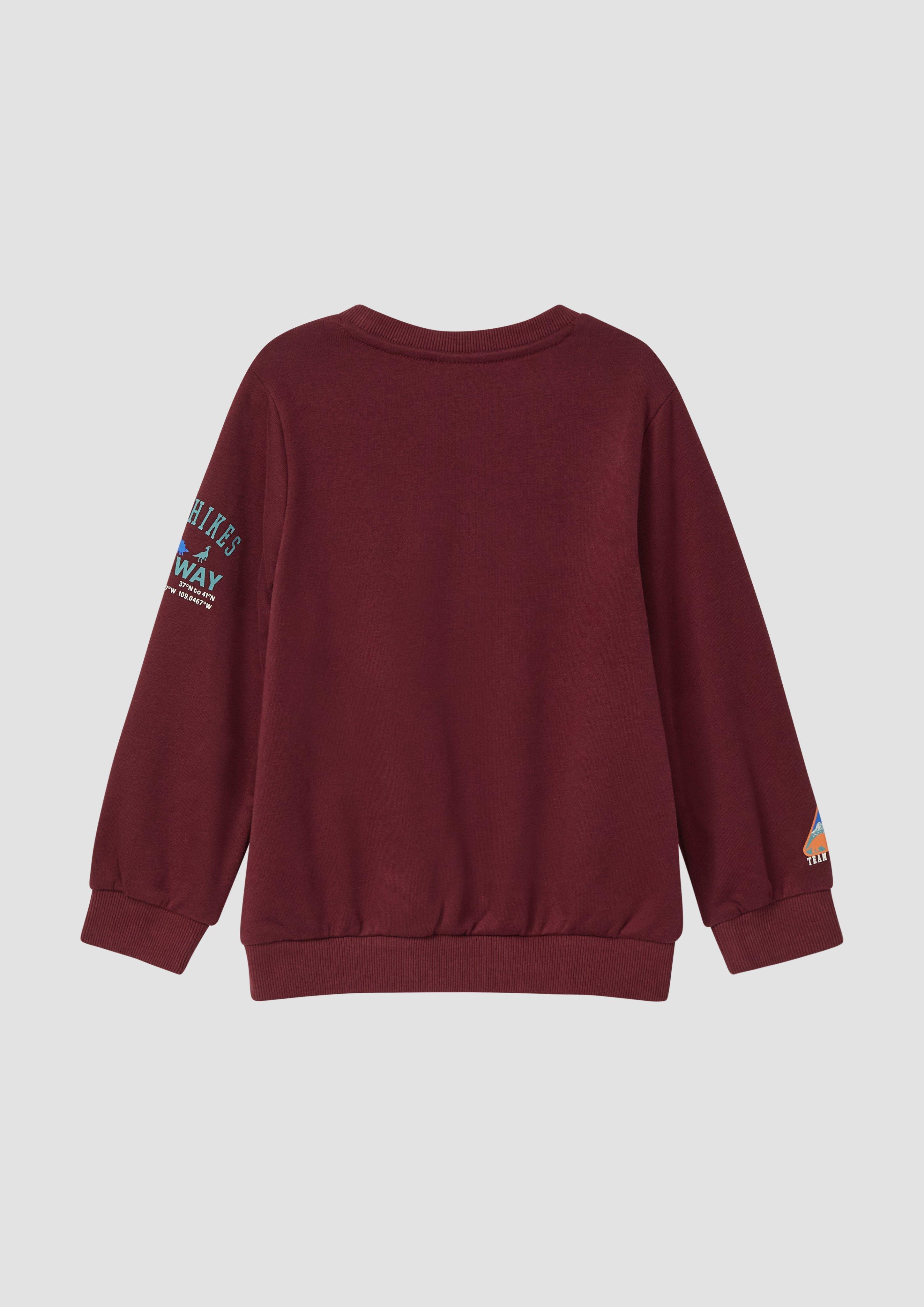 Mikina in 3900 & 8001