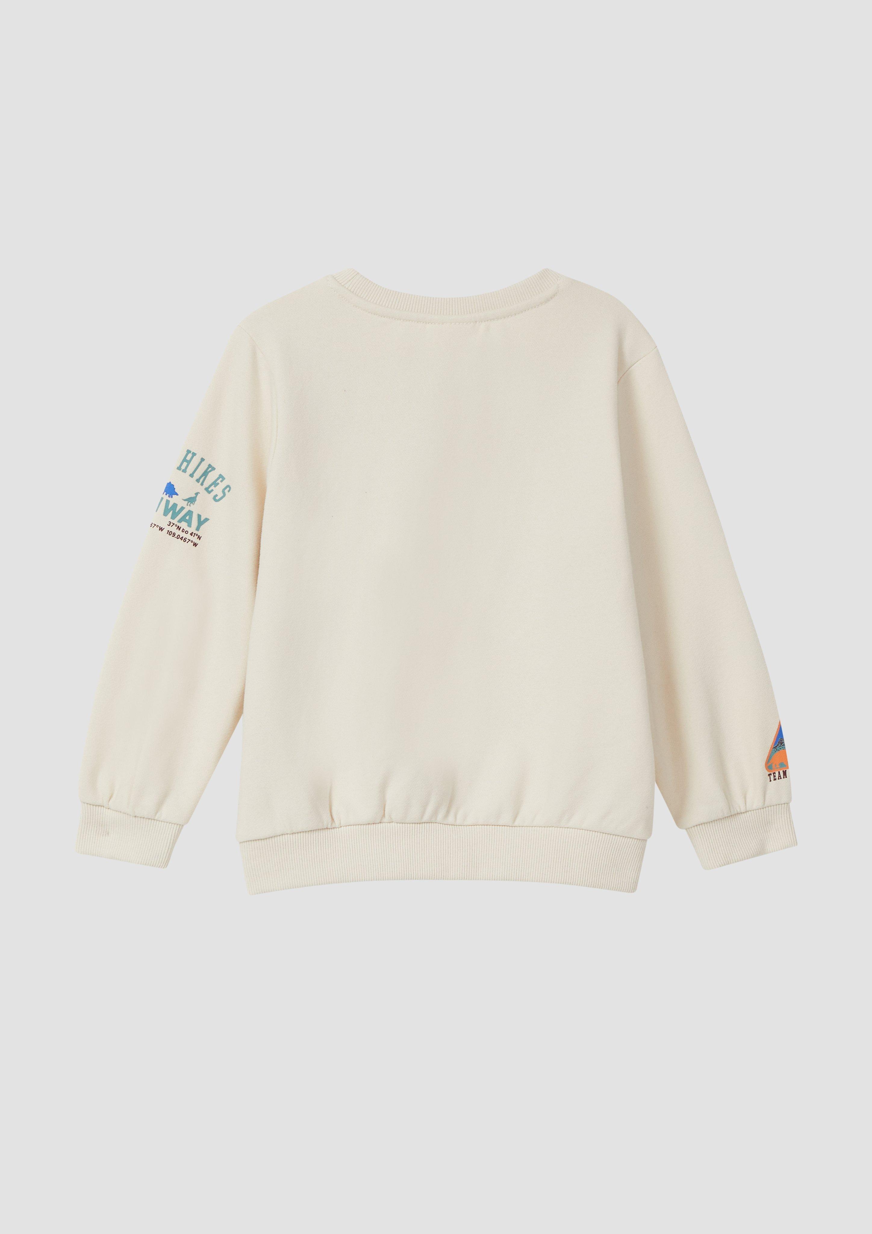 Sweatshirt in 8001 & 3900