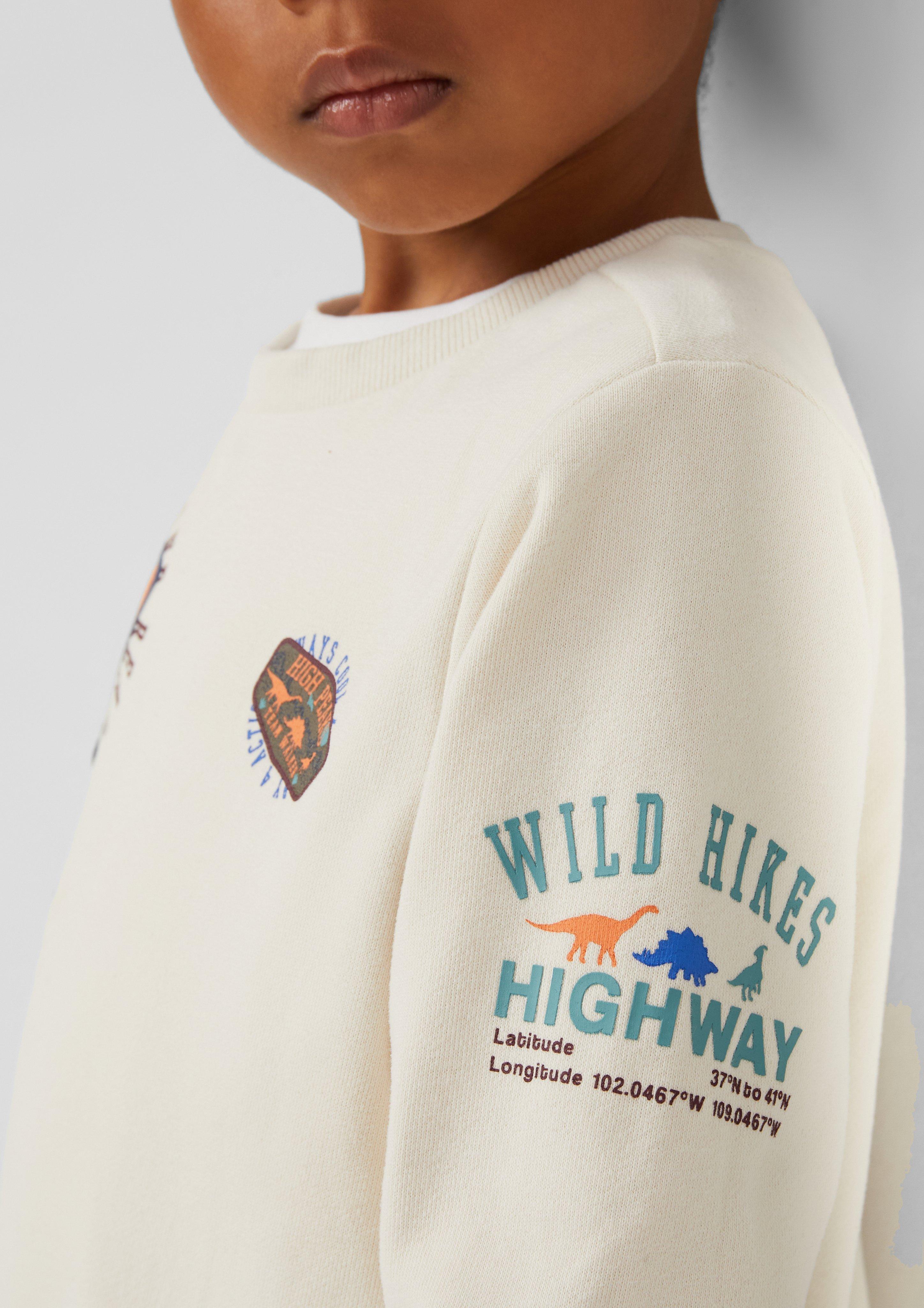 Sweatshirt in 8001 & 3900