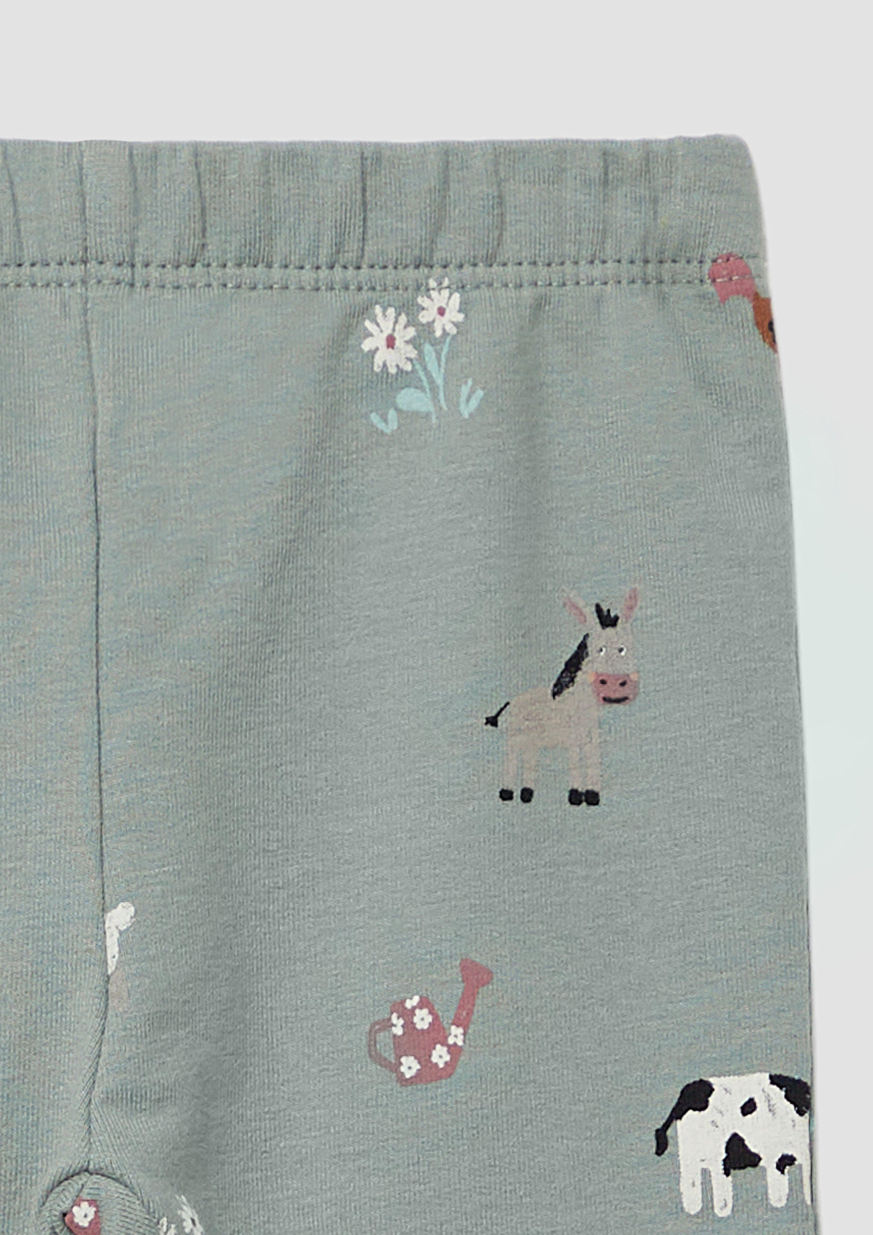 Legíny in 62A4 & 44A4