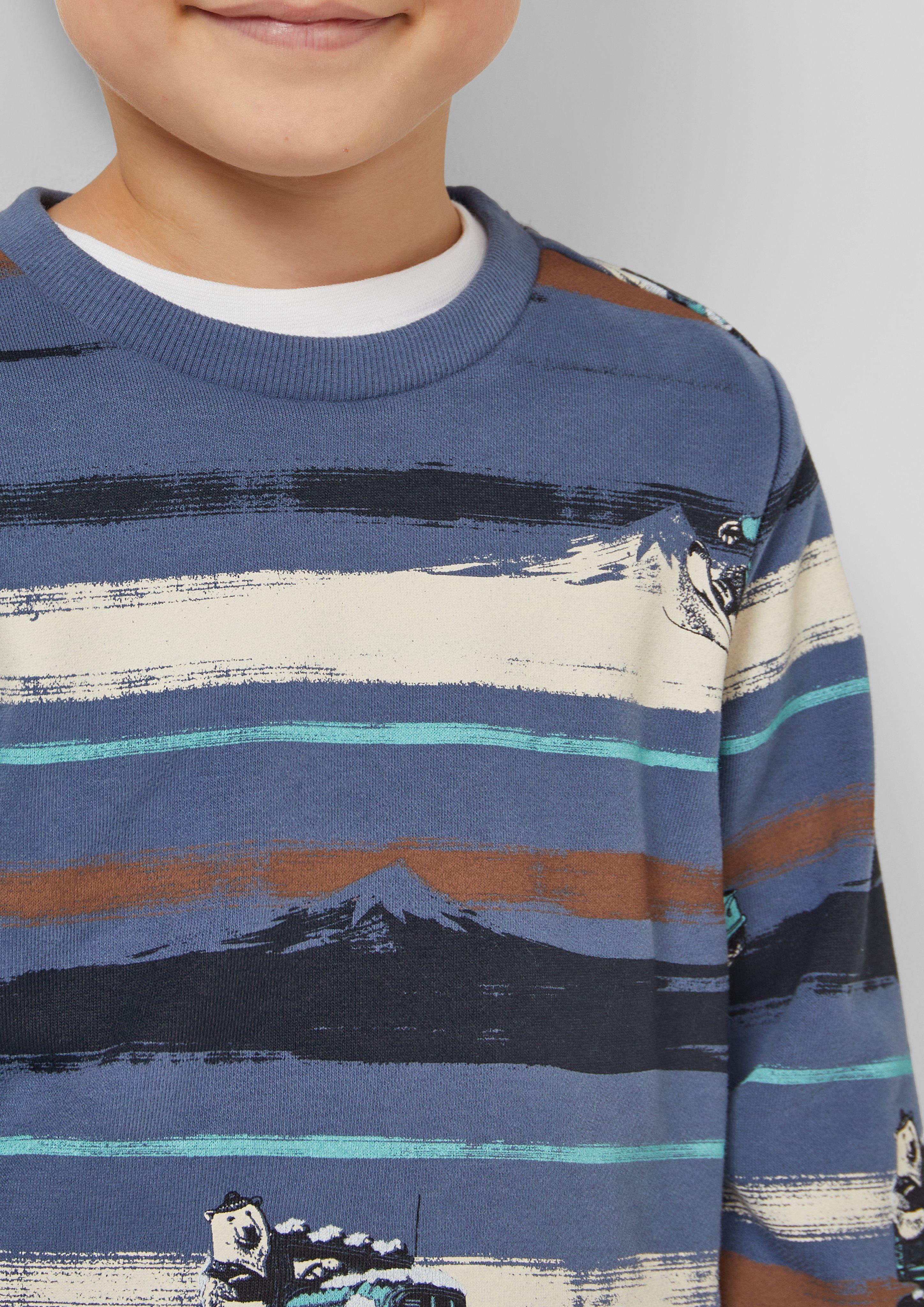 Sweatshirt in 55A1 & 84A2