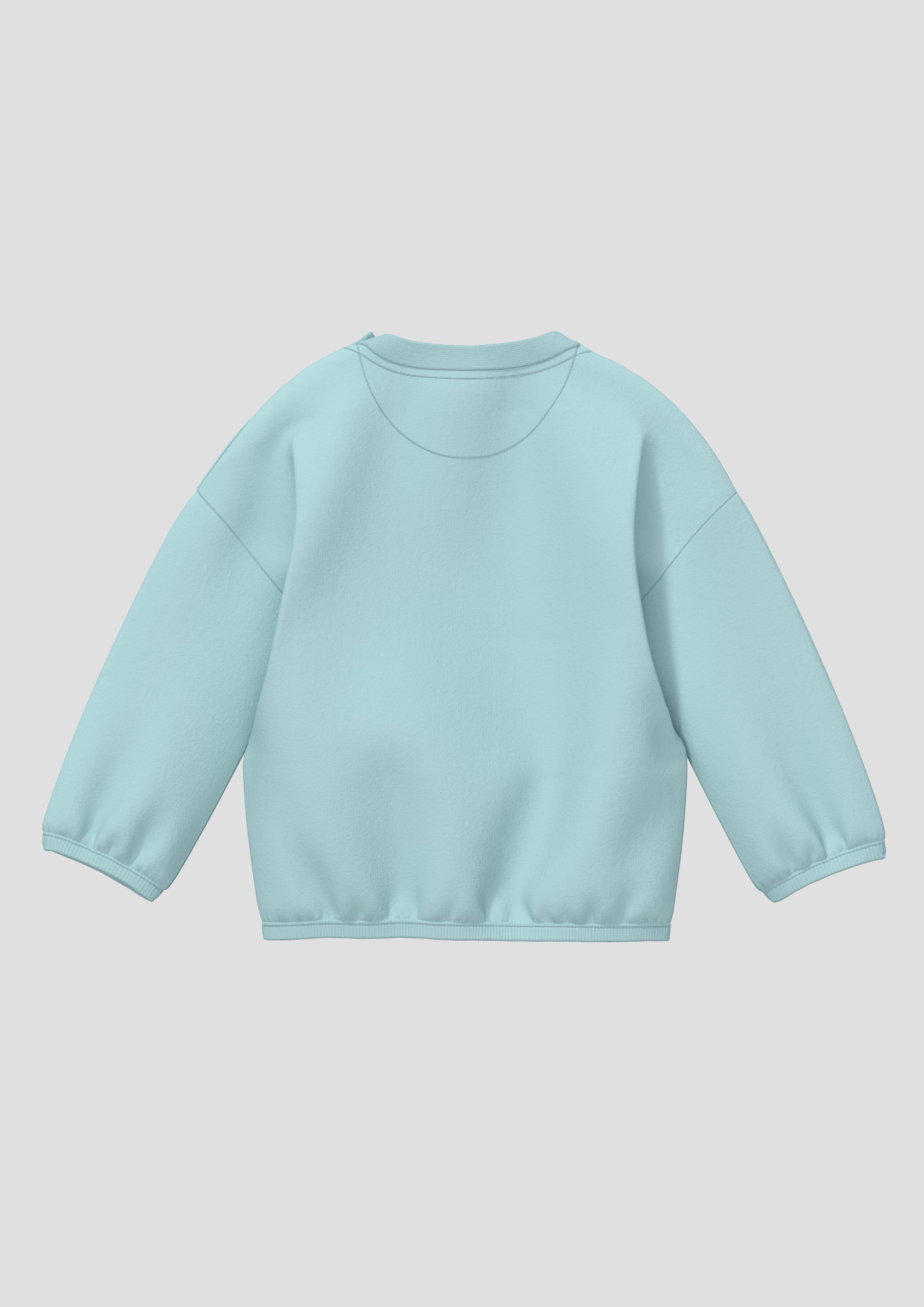 Sweatshirt in 6524