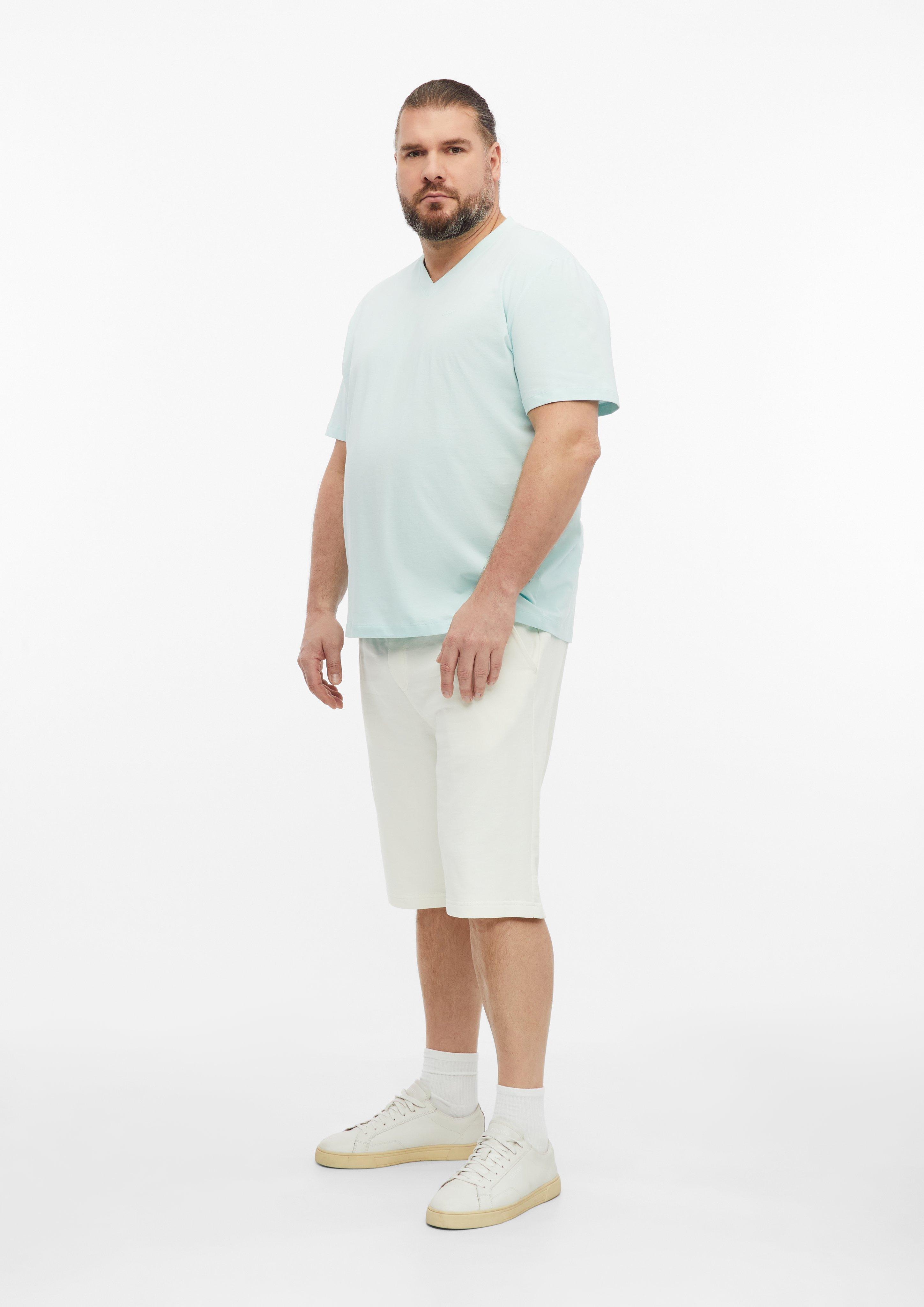Moški Majica v barvi turkizna od s.Oliver Men Big Sizes