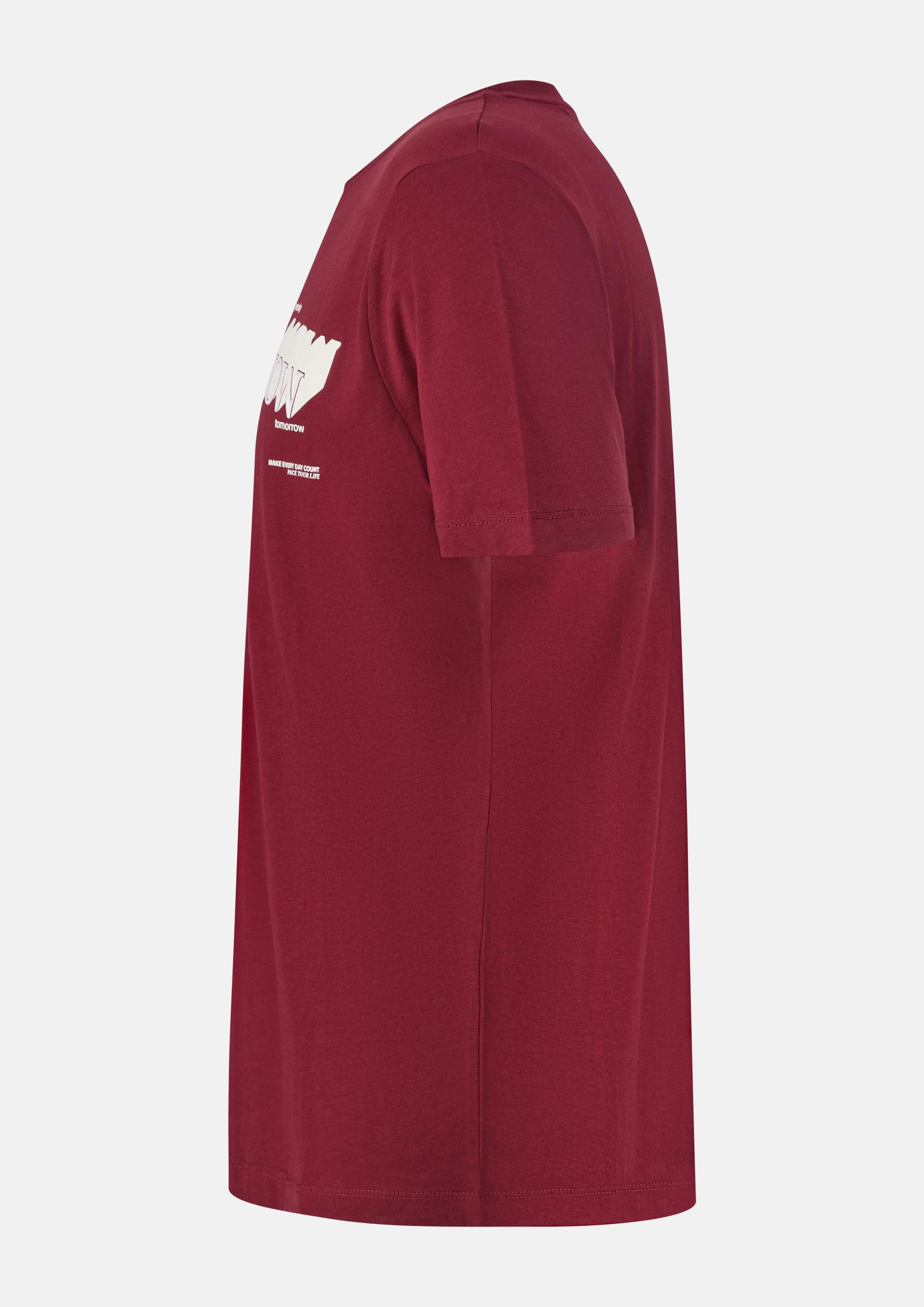 Men T-Shirt in red by s.Oliver