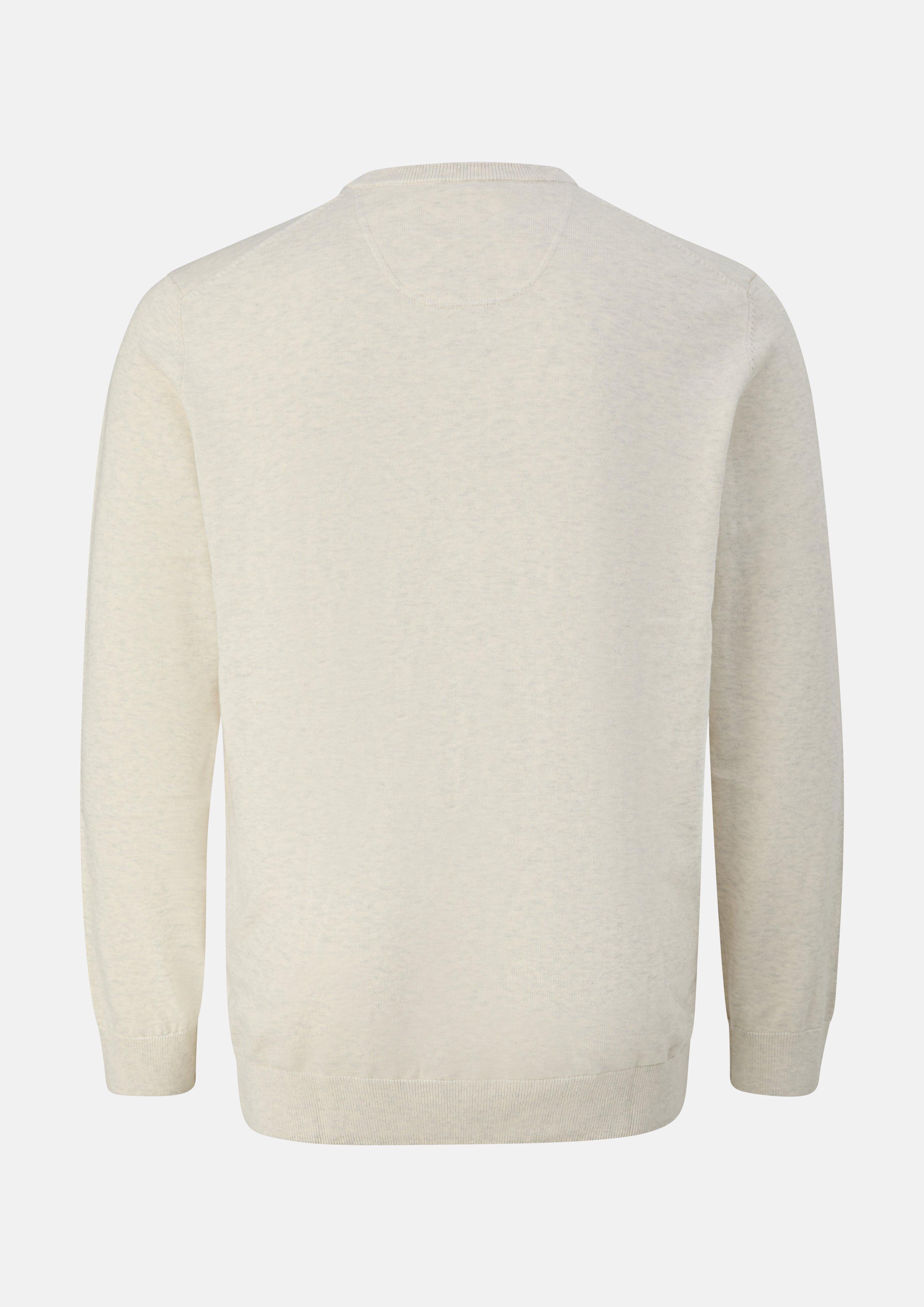 Hommes Pull en tricot en beige de s.Oliver Men Big Sizes