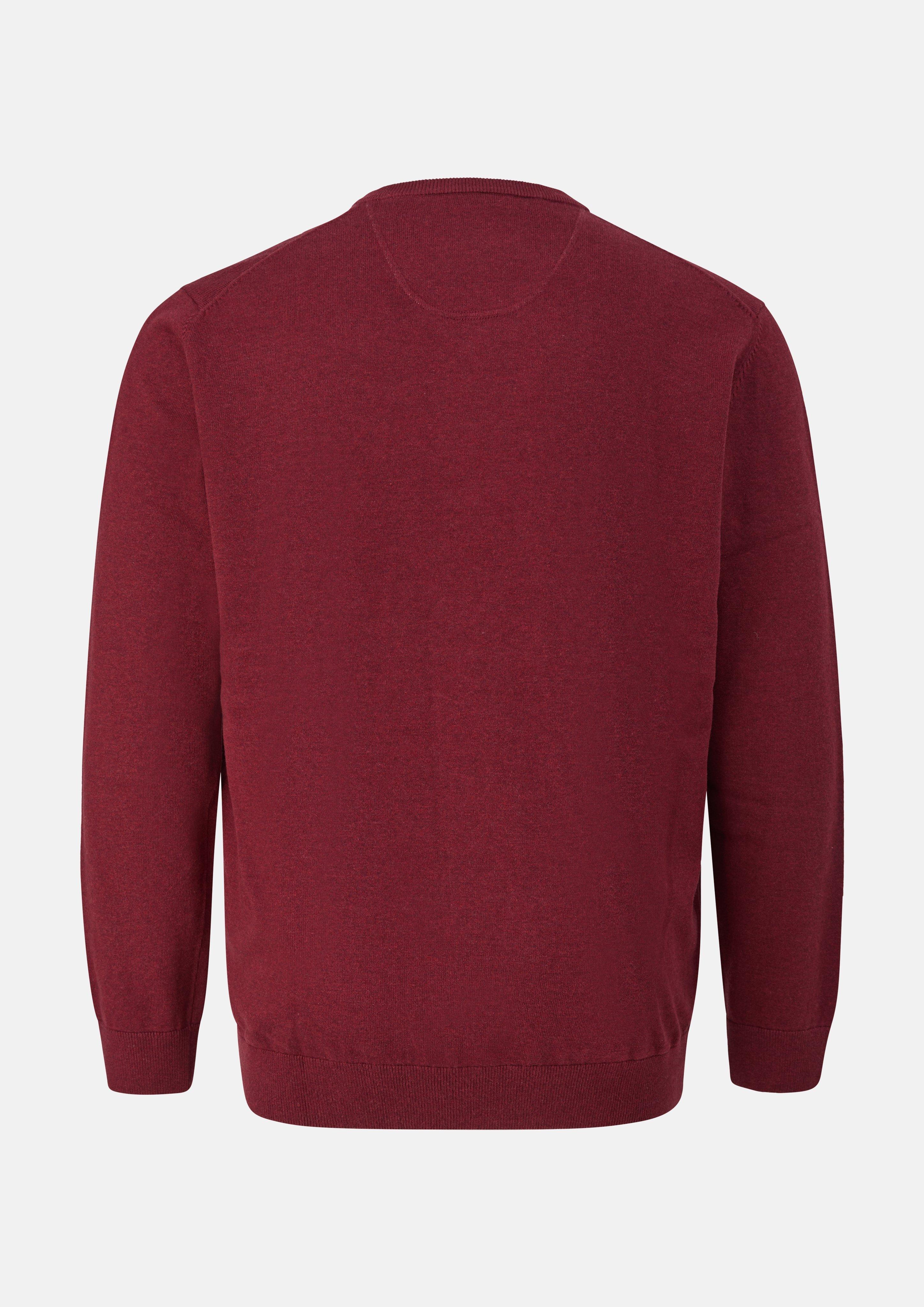Hommes Pull en tricot en rouge de s.Oliver Men Big Sizes