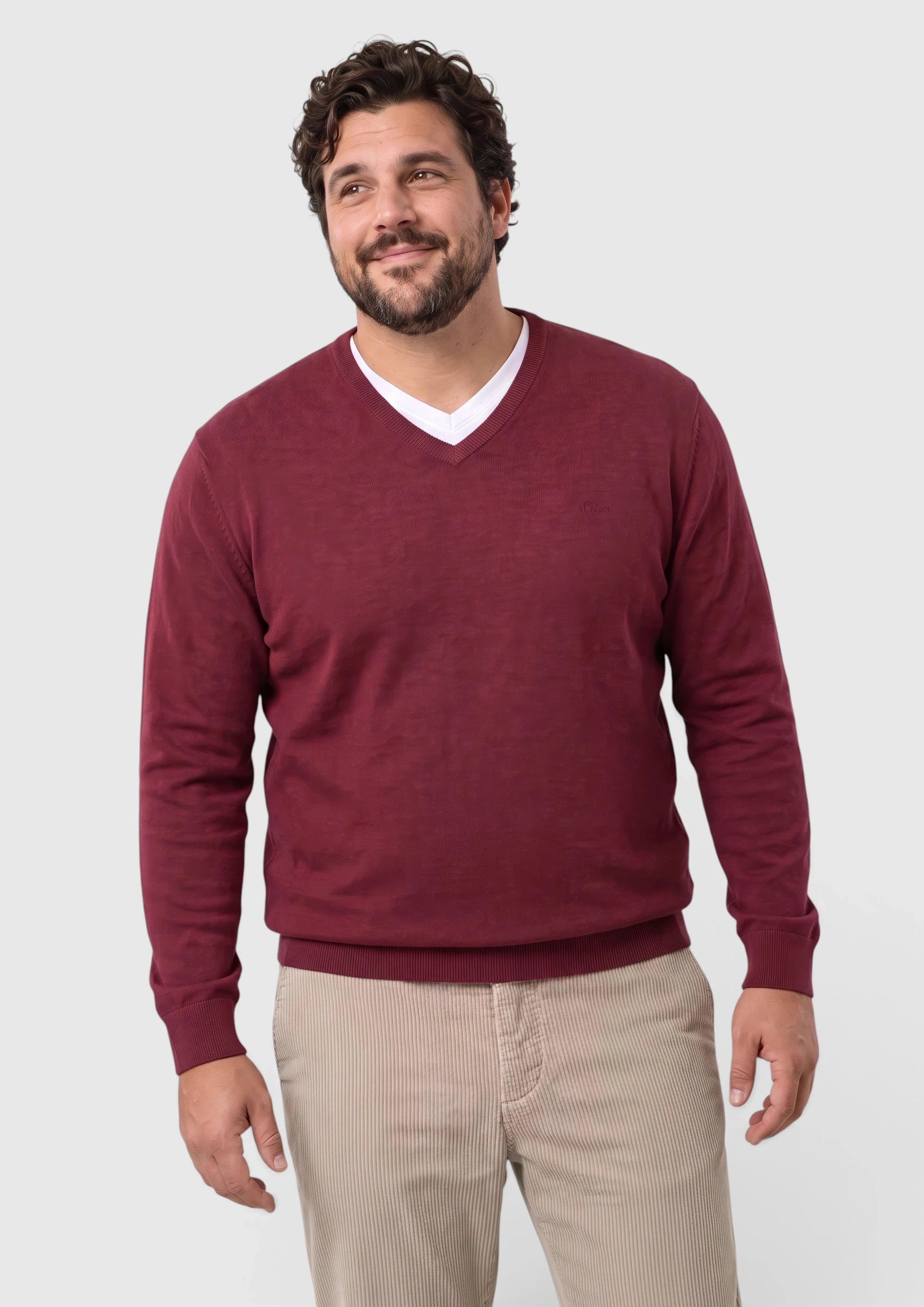Pull en maille avec logo brodé en bordeaux de s.Oliver Men Big Sizes