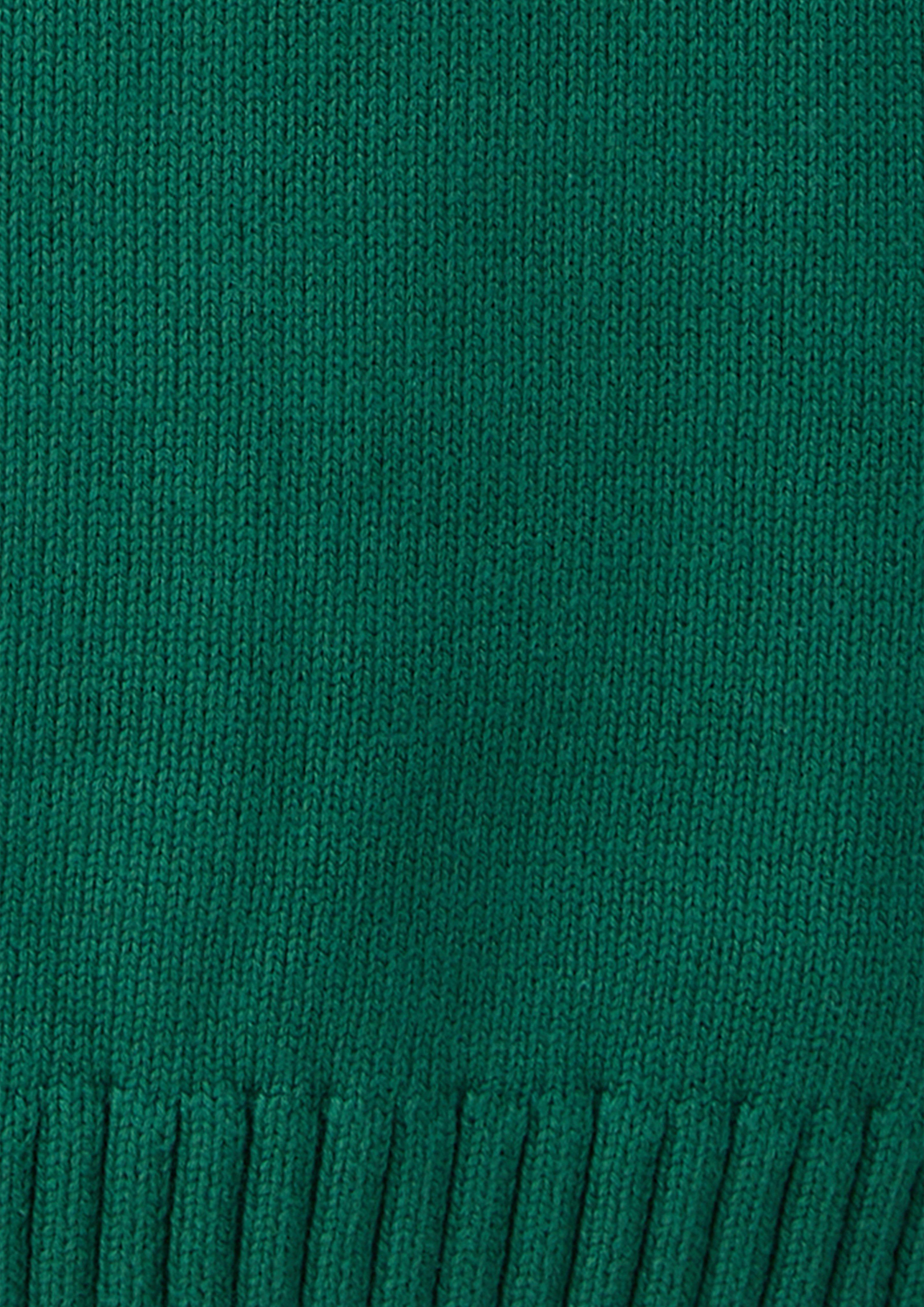 Herren Rundhals-Strickpullover aus Baumwolle in grün von s.Oliver Men Big Sizes