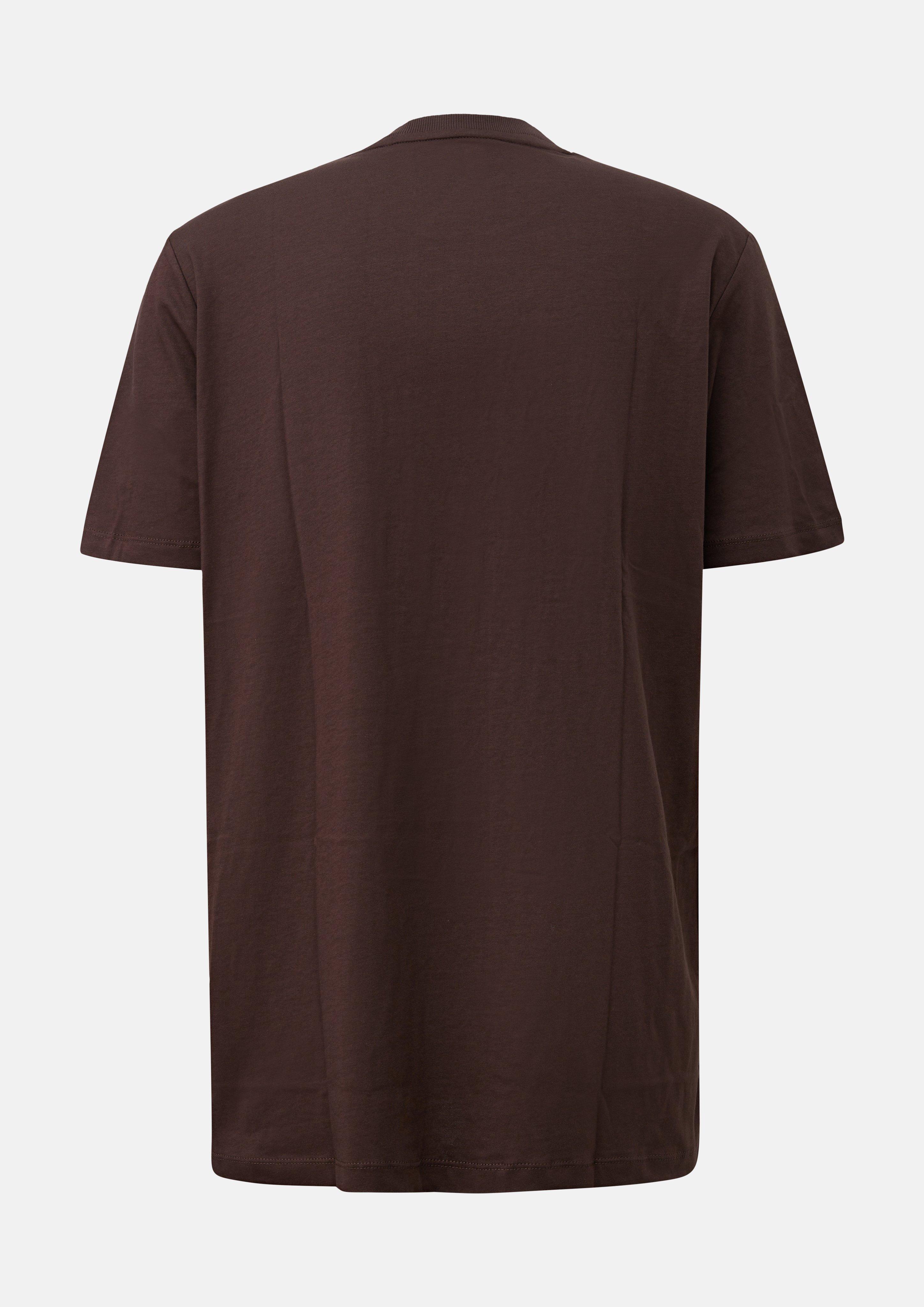 Men T-Shirt in brown by s.Oliver Men Tall Sizes