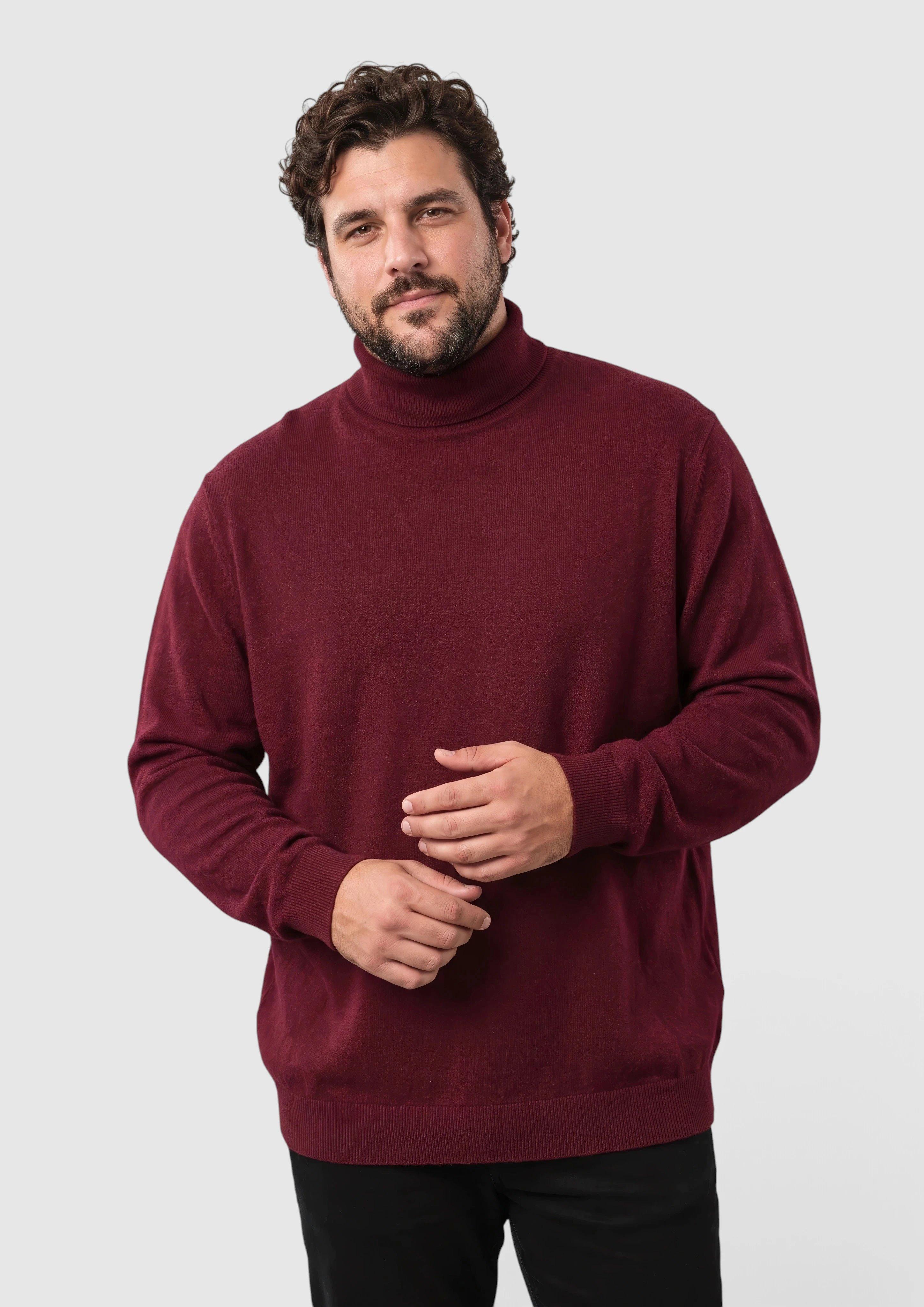 Trui met col van 100% katoen in bordeaux van s.Oliver Men Big Sizes