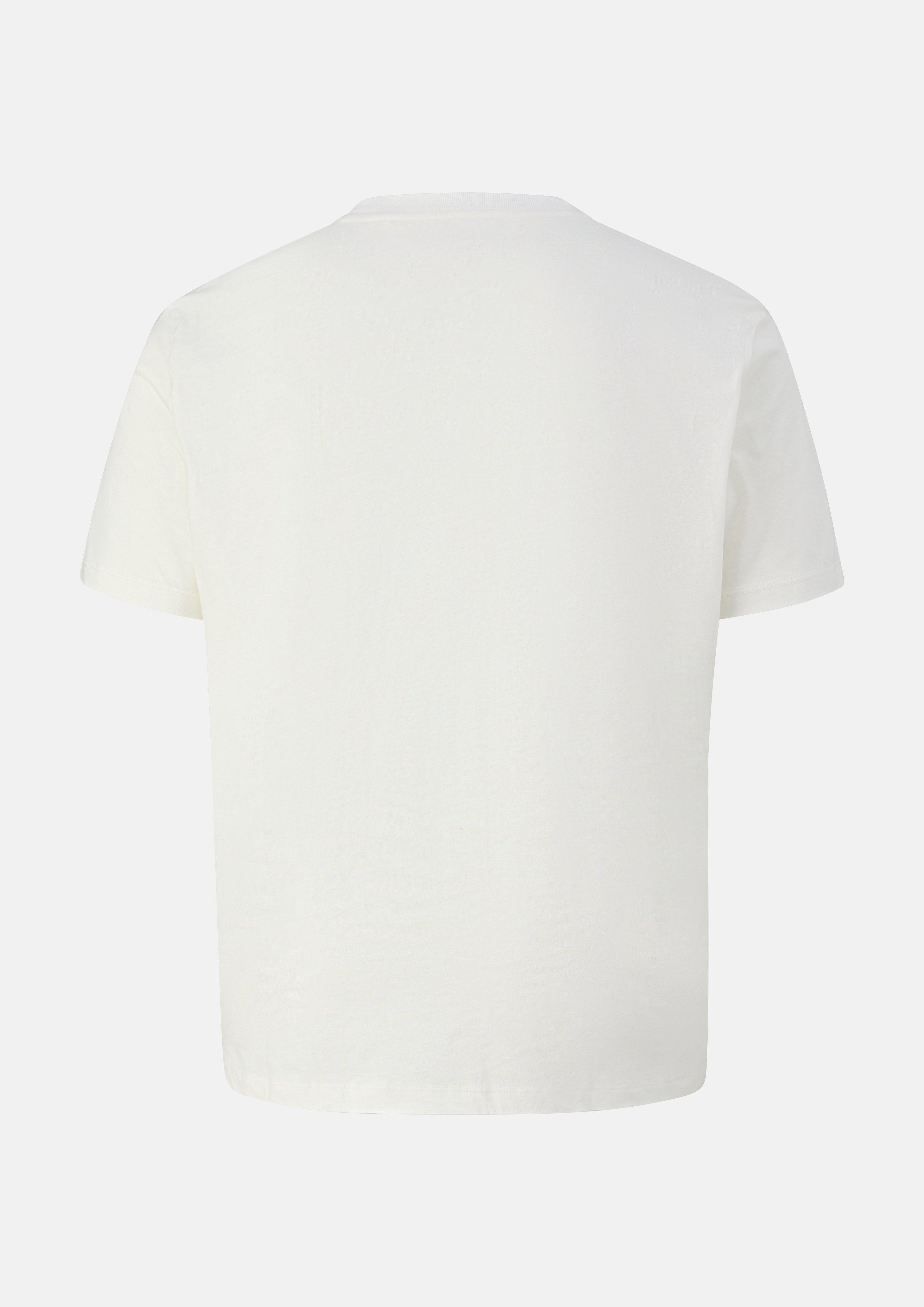 Heren T-Shirt in crème van s.Oliver Men Big Sizes