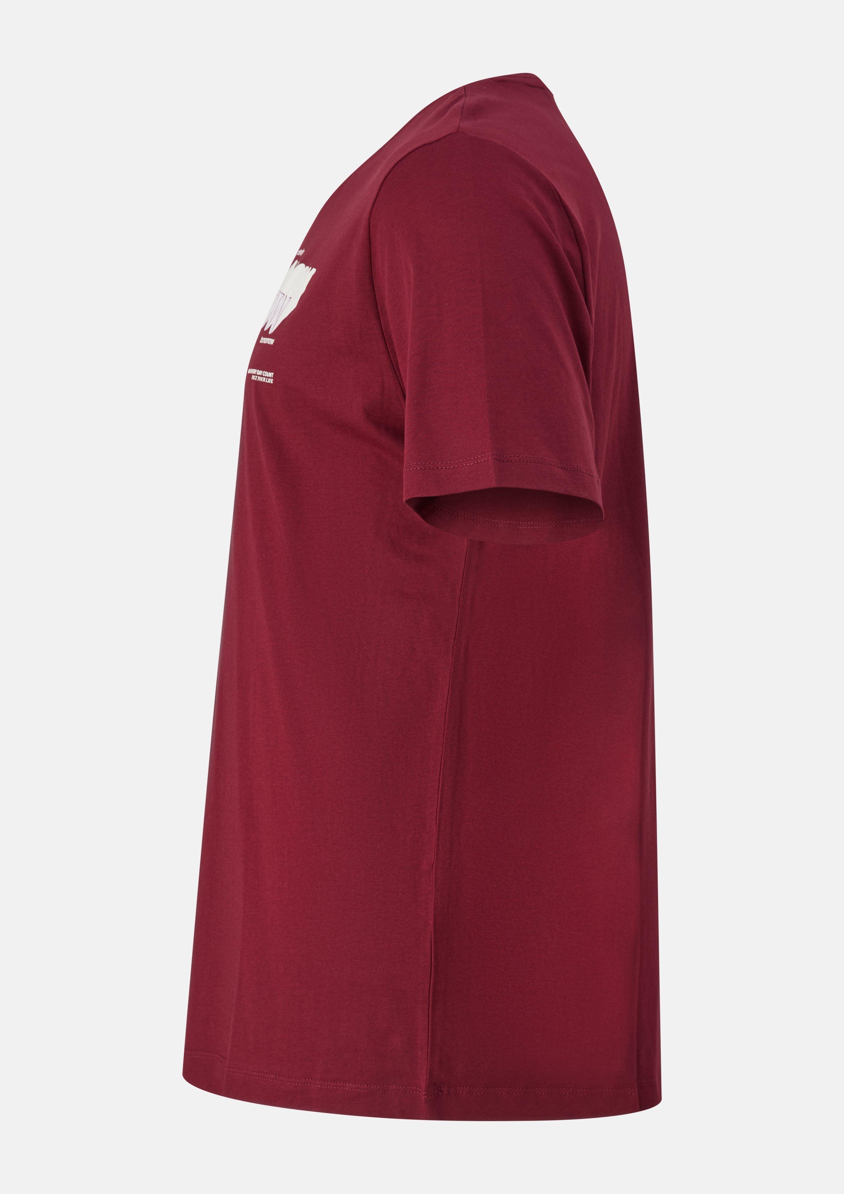 Pánové Tričko v barvě červená od s.Oliver Men Big Sizes