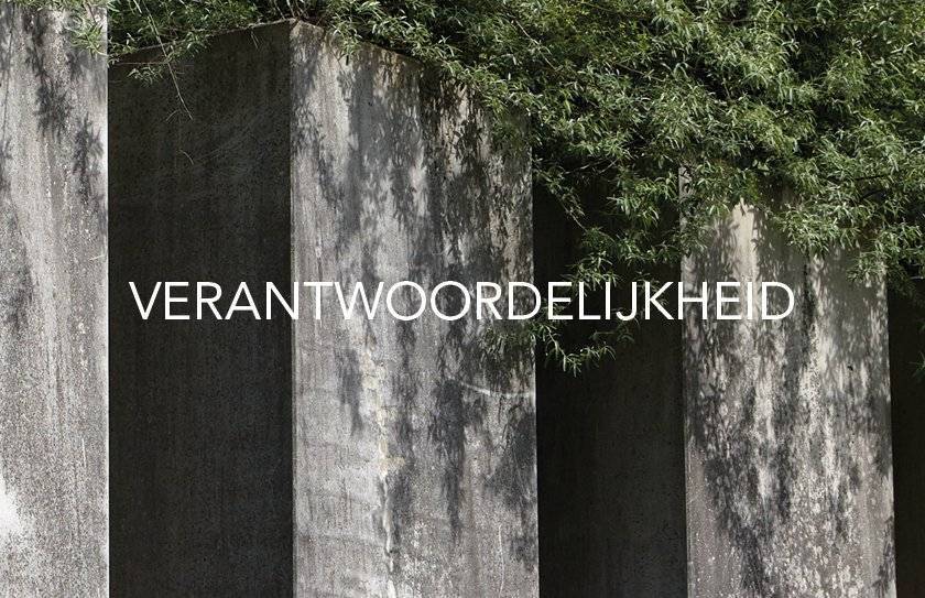 Image for LIEBESKIND BERLIN