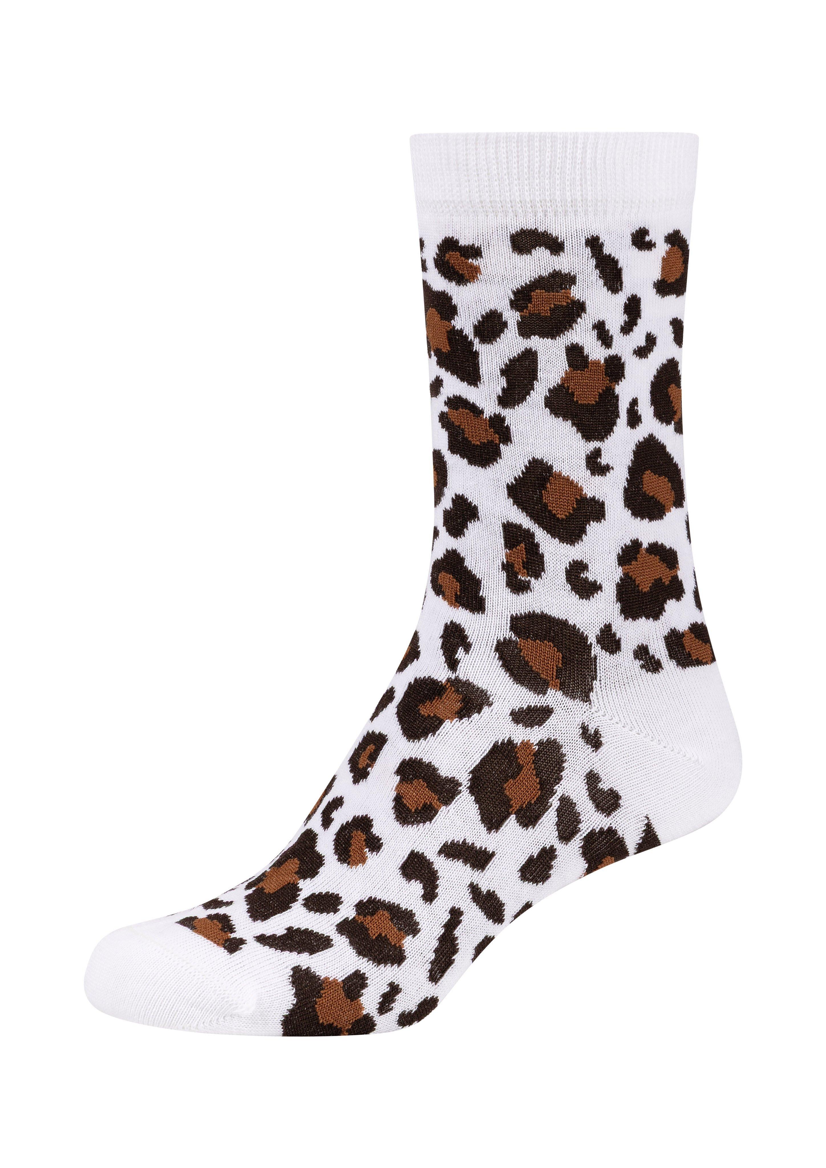 Langschaft in 8110, 9980, 2048 & 1000