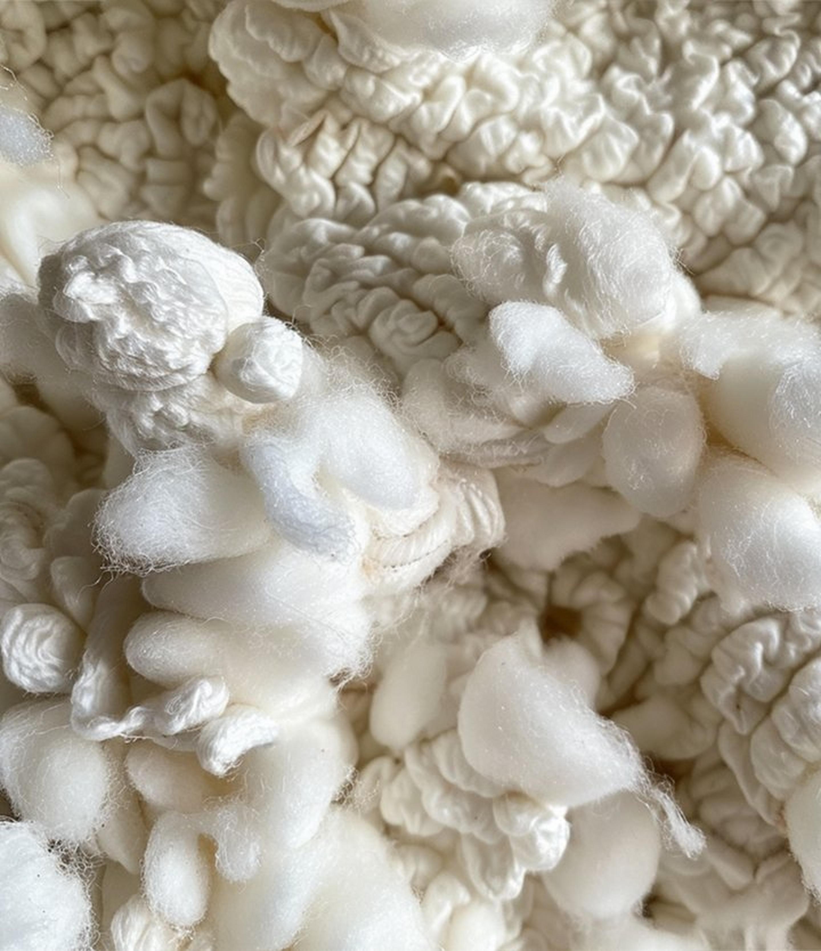 Product list page hero image