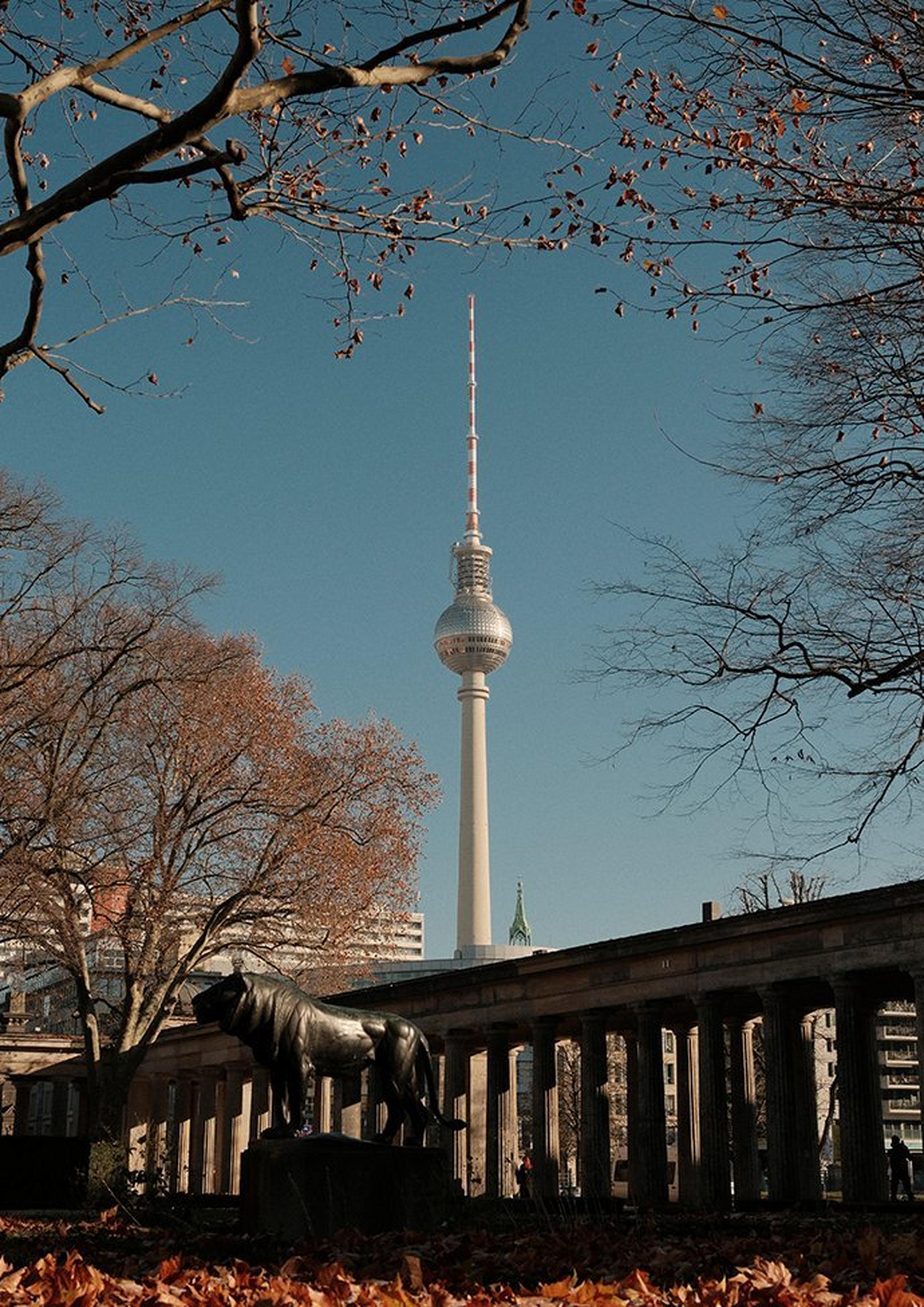 Product list page hero image