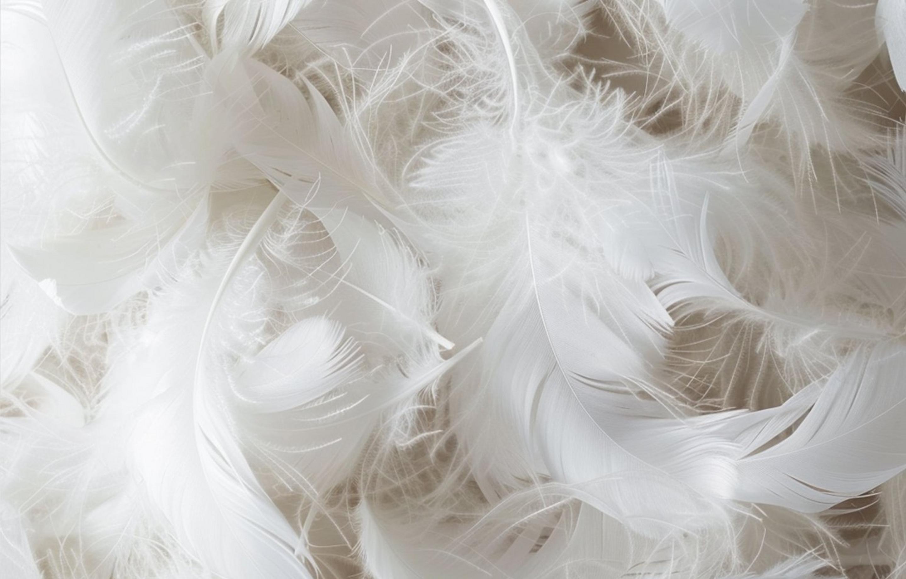 Product list page hero image