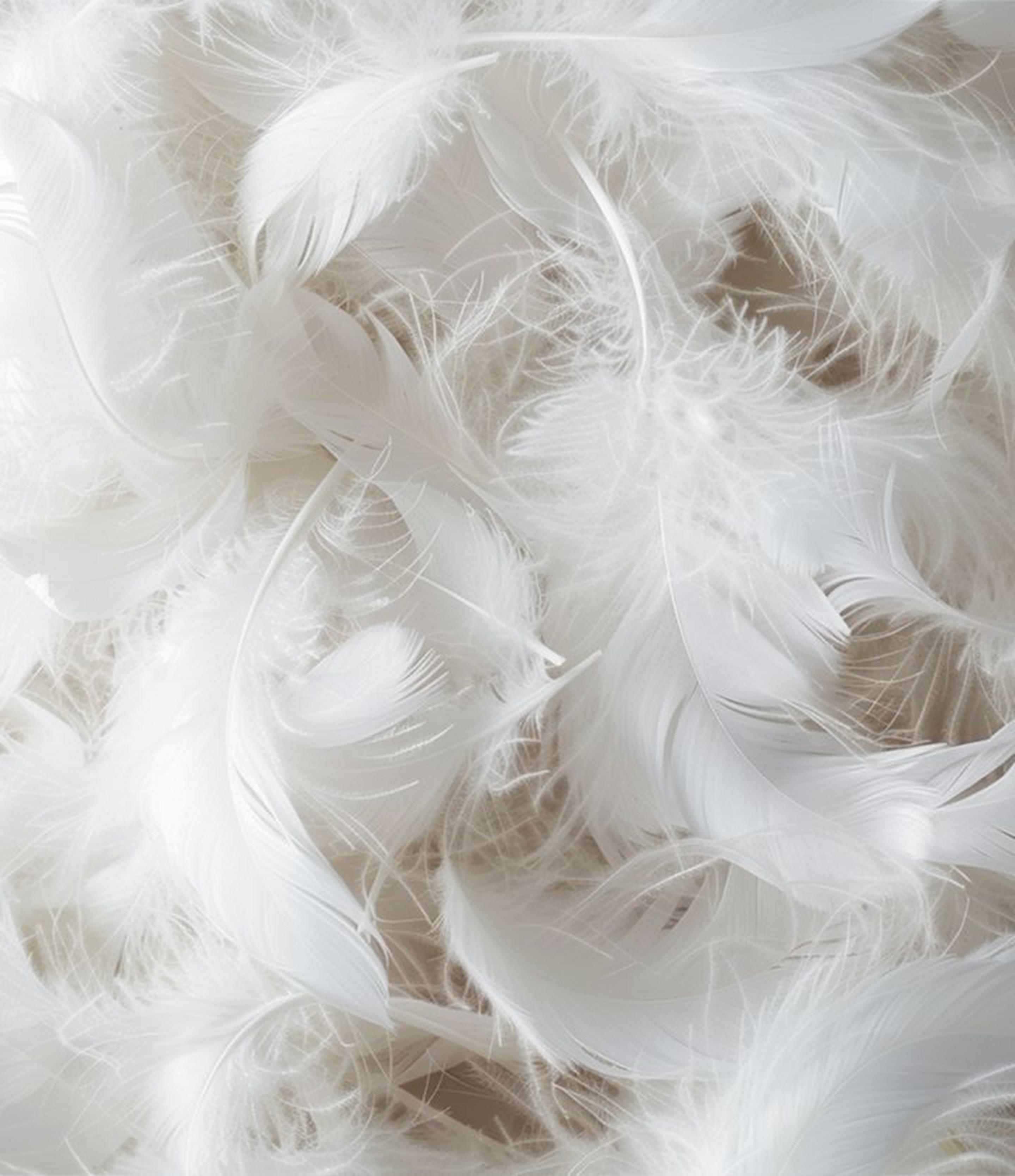 Product list page hero image