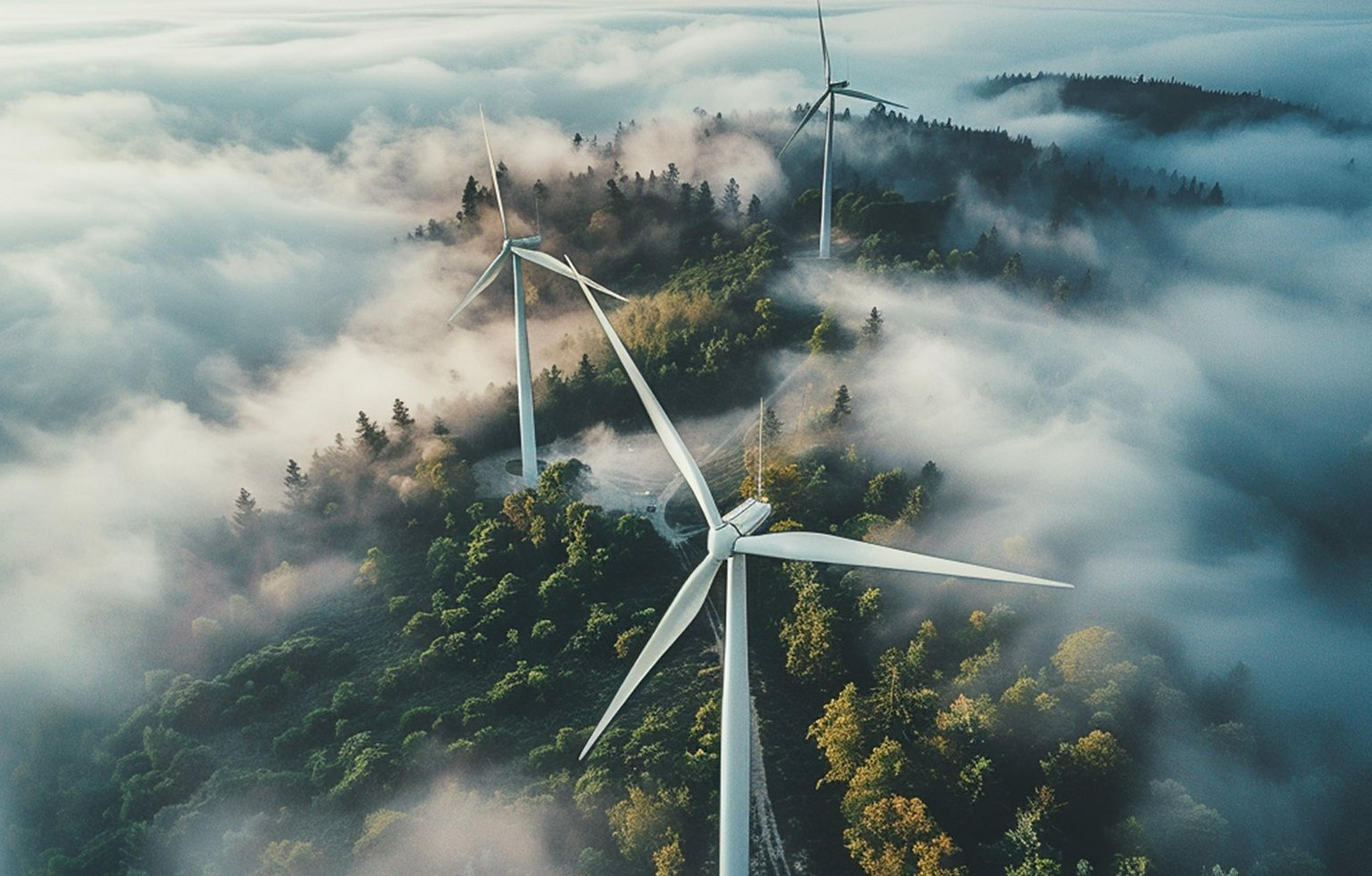 Product list page hero image