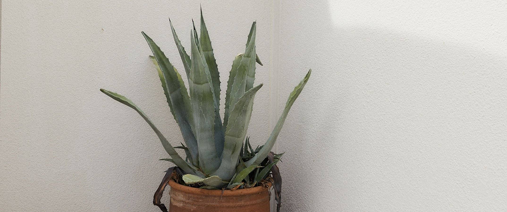 Mode, Kleidung & Accessoires | Comma – Online-Shop