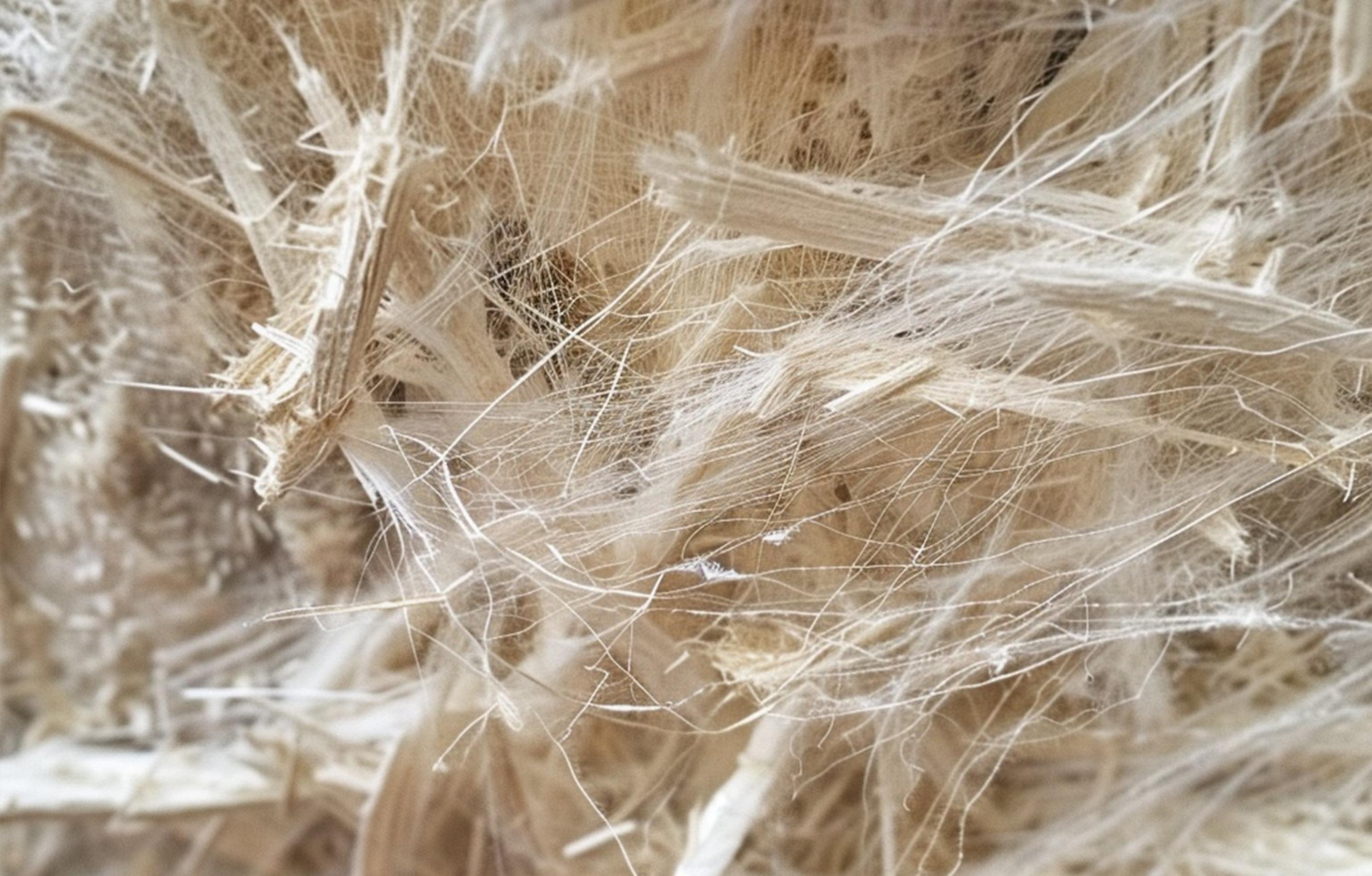 Product list page hero image