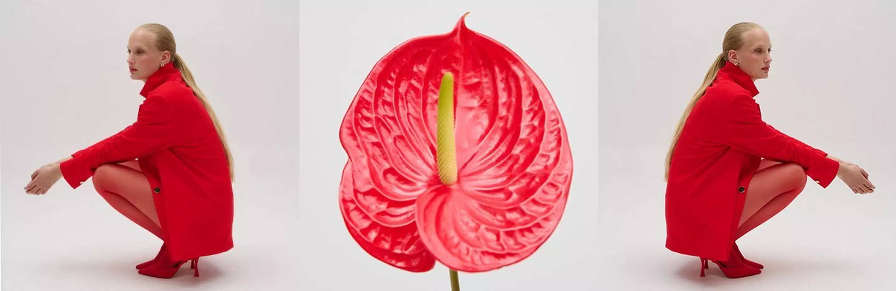 Product list page hero image