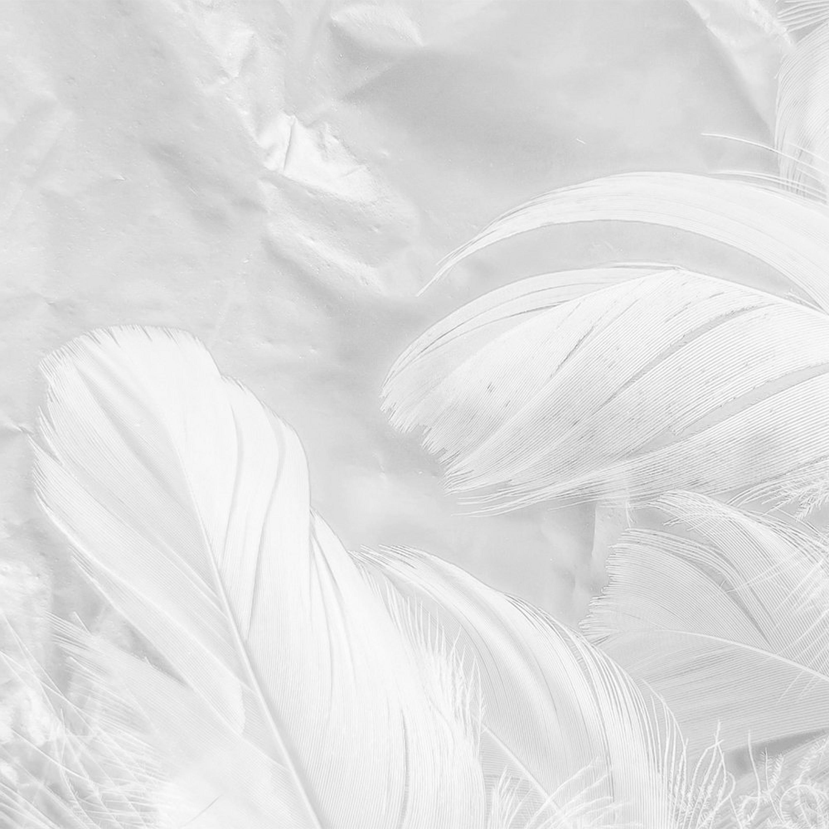 Product list page hero image